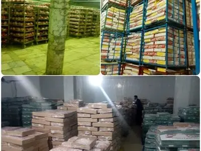 کشف ۲۲۰۰ تن محموله مرغ احتکار شده در شیراز