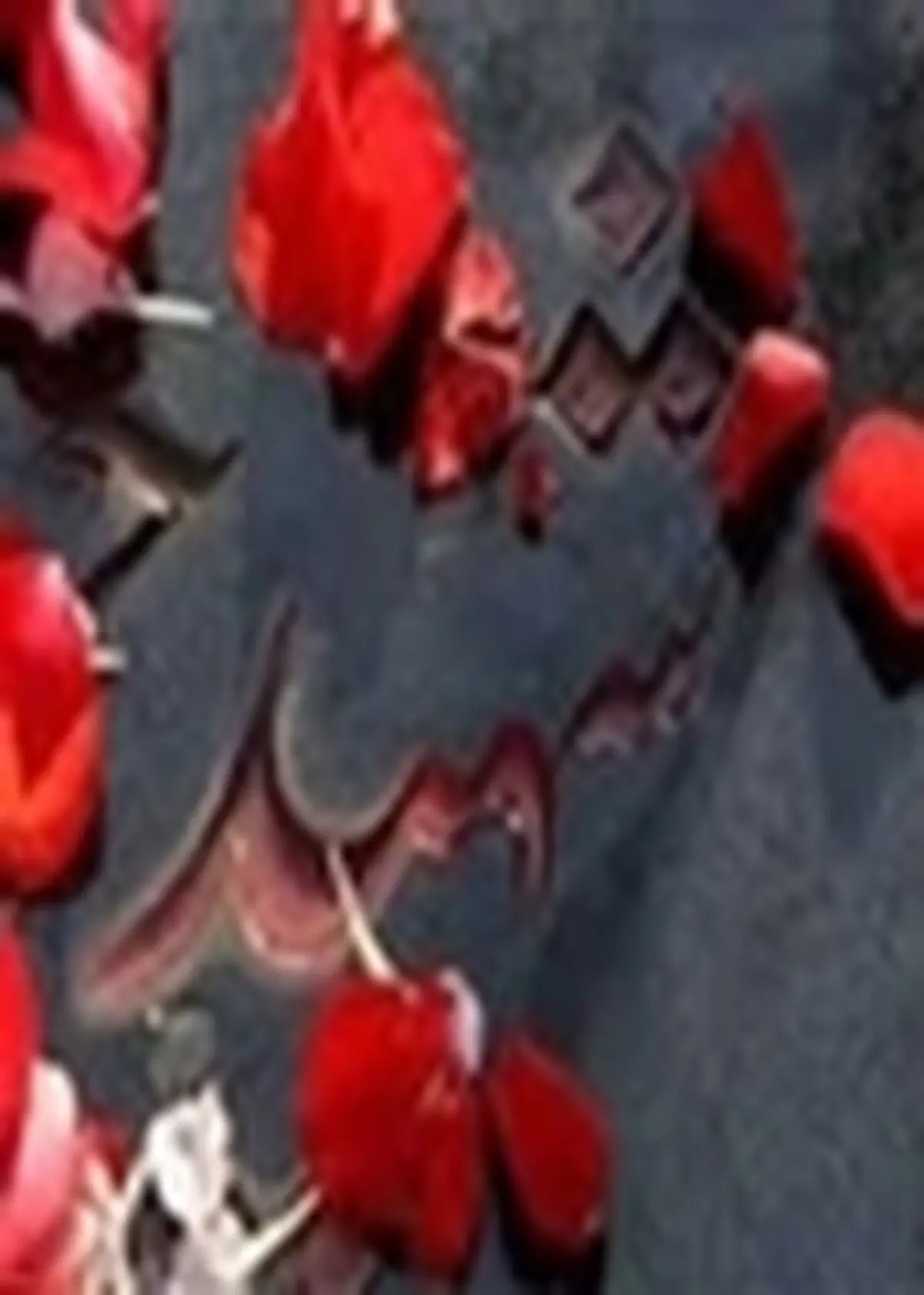 گلزار شهدای قوچان غبارروبی و عطر افشانی شد