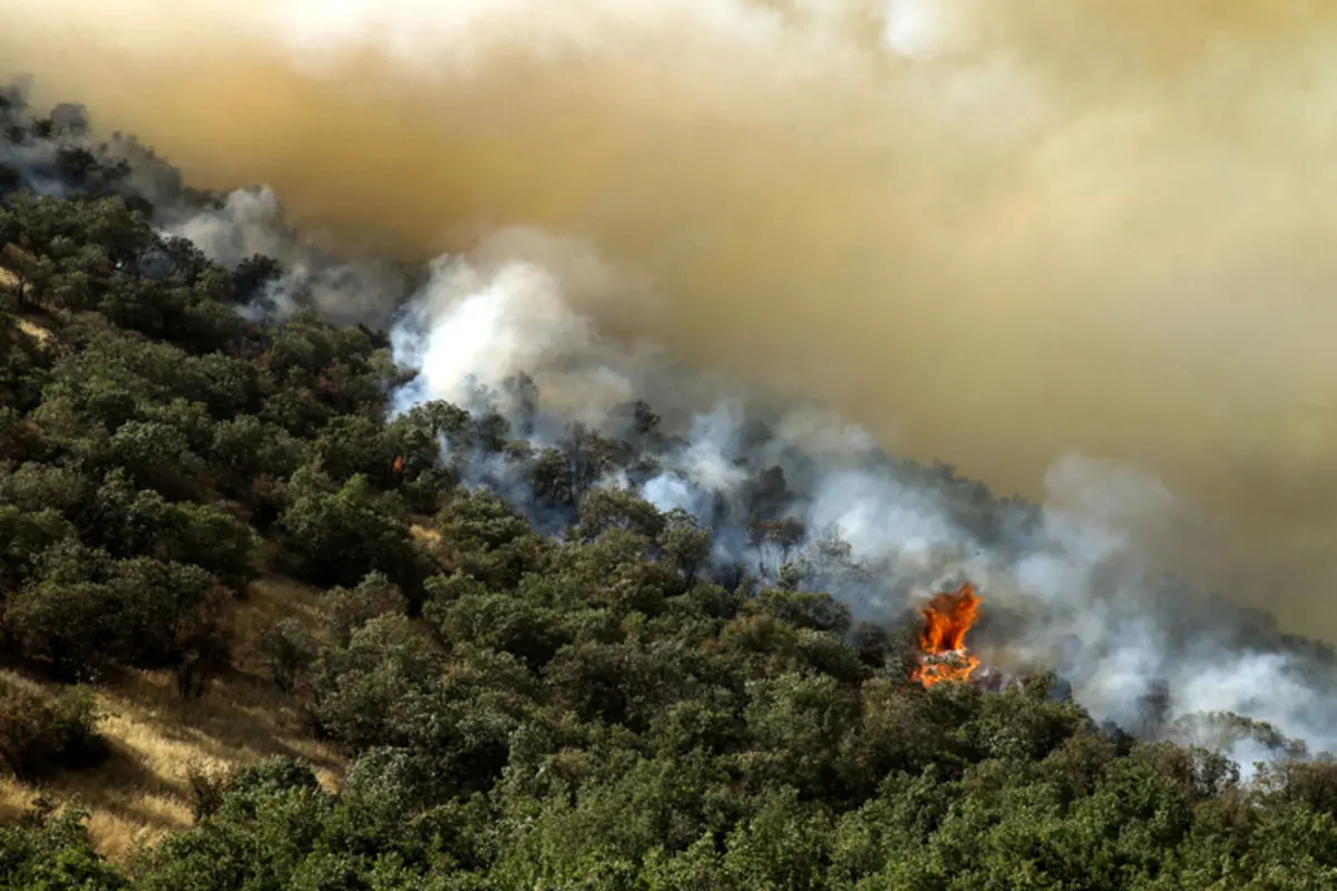 استاندار مازندران: آتش‌سوزی در حوزه جنوب و شرق جنگل‌های الیت مهار شد