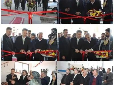 کارگاه تولید متمرکز فرش دستباف چهارمحال و بختیاری به بهره برداری رسید