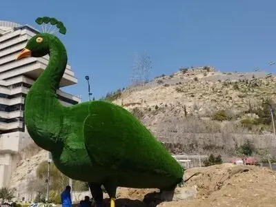 نصب المان جدید طاووس در شیراز 