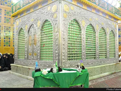 توسعه حرم امام‌زاده موسی مبرقع(ع) قم، معطل تملک ۱۰ پلاک ثبتی