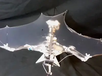 ساخت پهپاد خفاشی توسط آمریکا