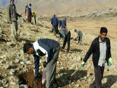 آغاز پروژه 90 هکتاری کپه‌کاری در سامان عرفی مشهدگرمه اراک