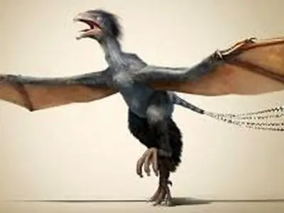 اسرار پنهان از ۱۲۵ میلیون سال پیش از دنیای دایناسورها | عجیب‌ترین سلاح دایناسورها برای جذب جفت