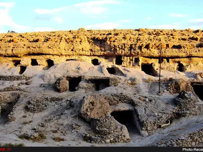 سیم‌های برق همچنان بلای جان میمند/ محدودیت‌های ثبت جهانی، عامل مهاجرت‌ها