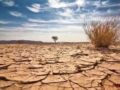 باغات استان اصغهان درگیر تنش کم‌آبی هستند