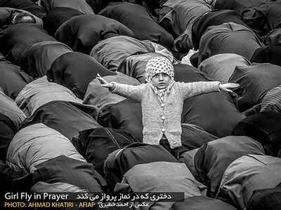 مدال طلای جشنواره فرانسوی به عکاس ایرانی رسید