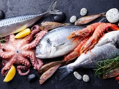 تولید بیش از ۱.۳ میلیون تن آبزی/ مشارکت مردم و بهره‌برداران در سیاست‌گذاری