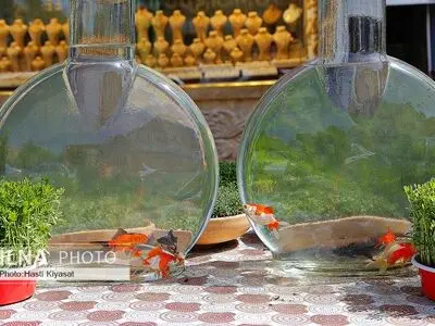 برآمد بوی صبح و بوی نوروز