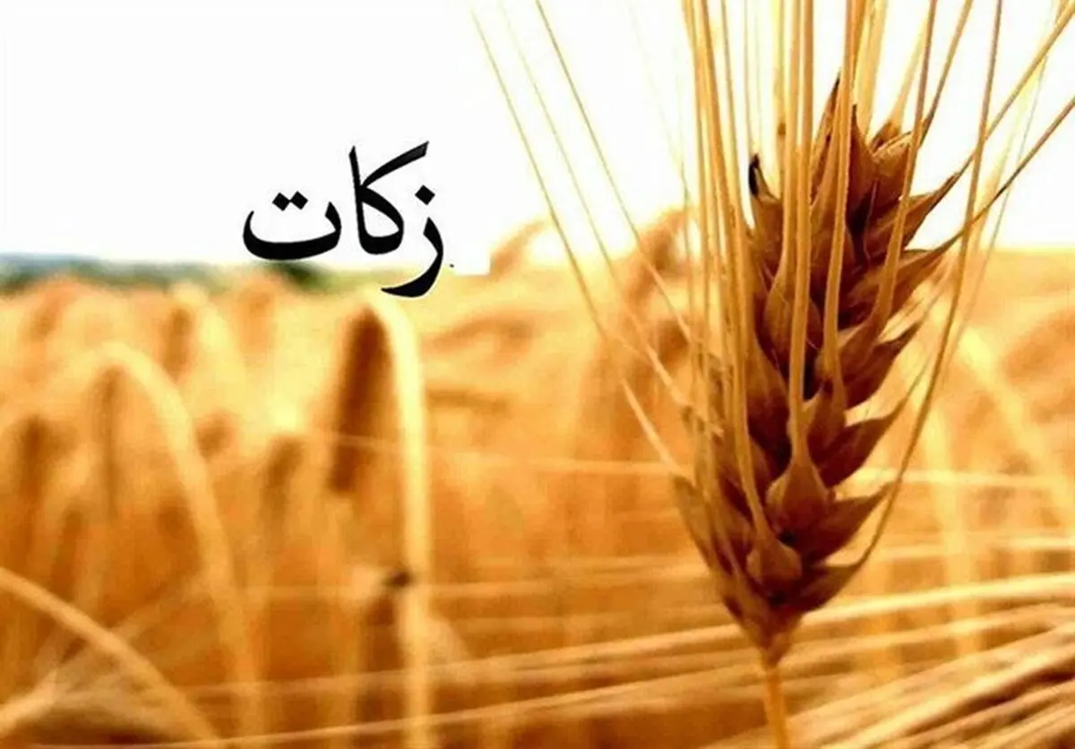 جمع‌آوری ۱۸ درصد کل زکات کشور توسط کمیته امداد


