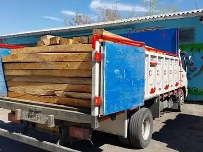 کشف ۱۸۰ اصله الوار قاچاق جنگلی در استان اردبیل 