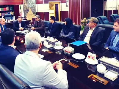 تهران ظرفیت ساخت مدرن‌ترین دهکده سلامت را دارد