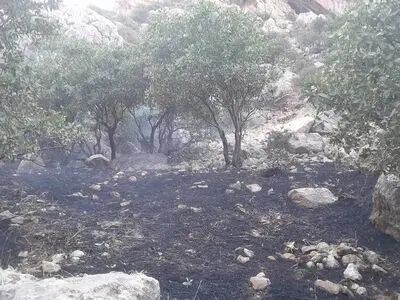 آتش‌سوزی ارتفاعات سرکش گیلانغرب پس از هشت ساعت عملیات نفس‌گیر مهار شد