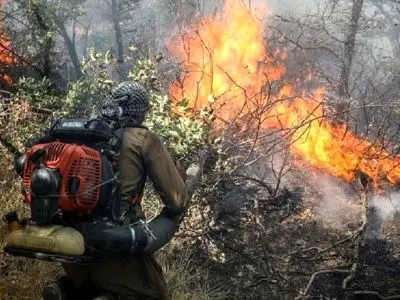 حریق 1.5 هکتار از عرصه‌های جنگلی شهرستان شفت را درنوردید / آتش سطحی بوده و به تنه درختان آسیب نرسید