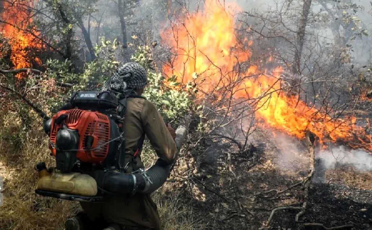 حریق 1.5 هکتار از عرصه‌های جنگلی شهرستان شفت را درنوردید / آتش سطحی بوده و به تنه درختان آسیب نرسید