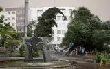 وزش باد شدید در تهران