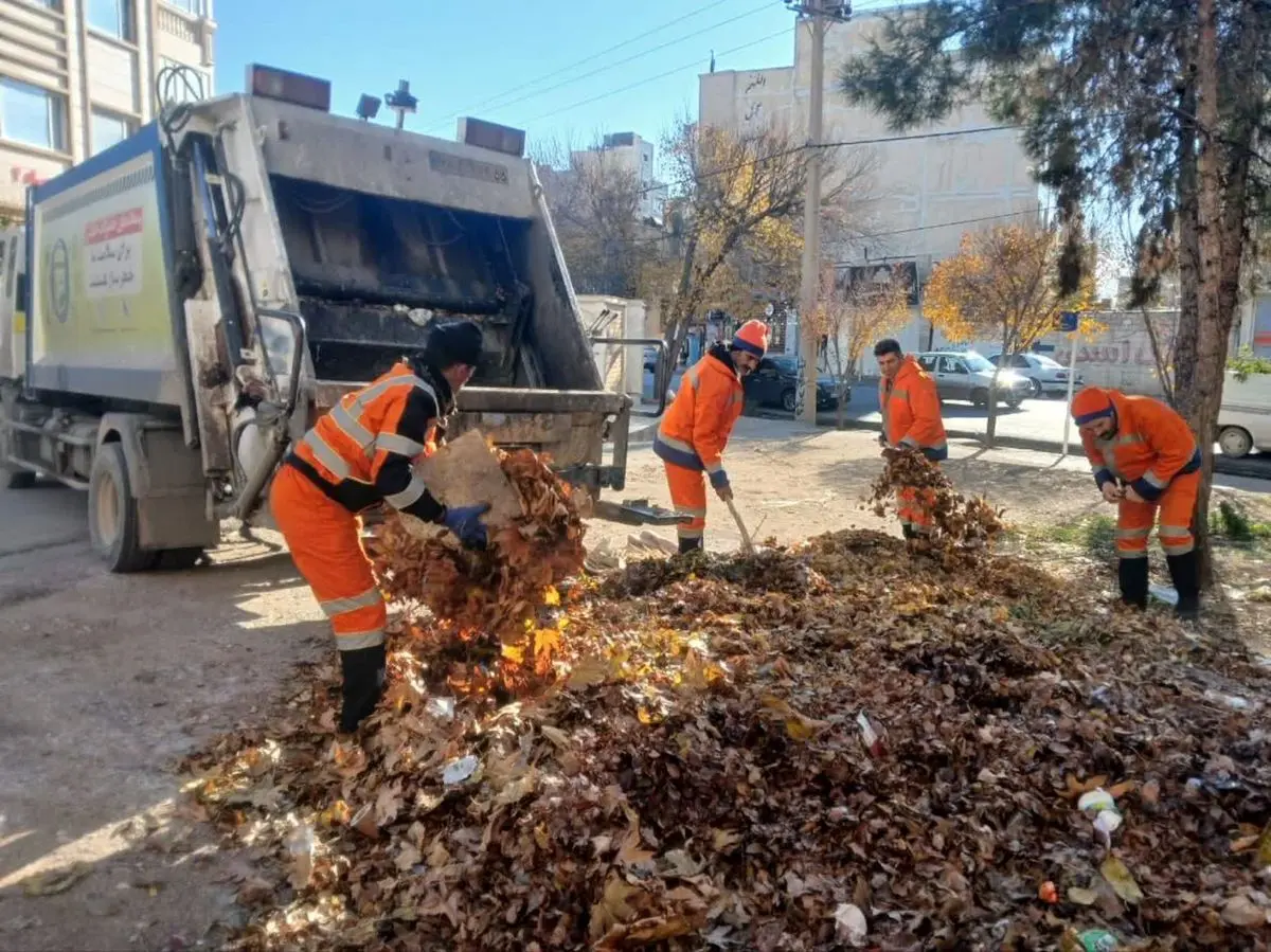 پیش‌بینی بالغ‌بر ۱۰۰۰ تُن برگ جمع‌آوری‌شده تا پایان سال 