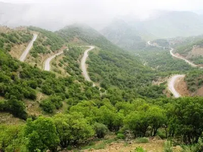 "جنگل" جزو انفال بوده و قابل وقف و تملک خصوصی نیست/ افرادی در پشت نقاب‌های قانونی، اراضی ملی را به نفع خودشان به تاراج می‌برند/ درخواست از قوه قضاییه برای رسیدگی مجدد