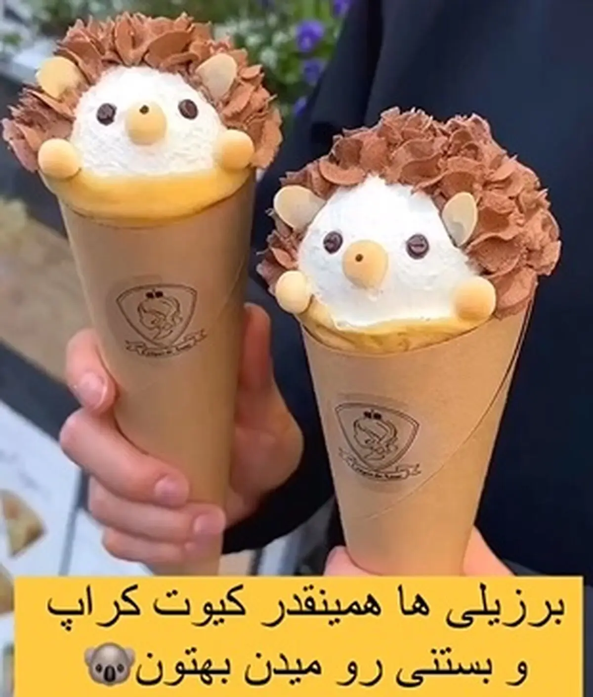 سرو فوق العاده زیبای بستنی در برزیل + فیلم