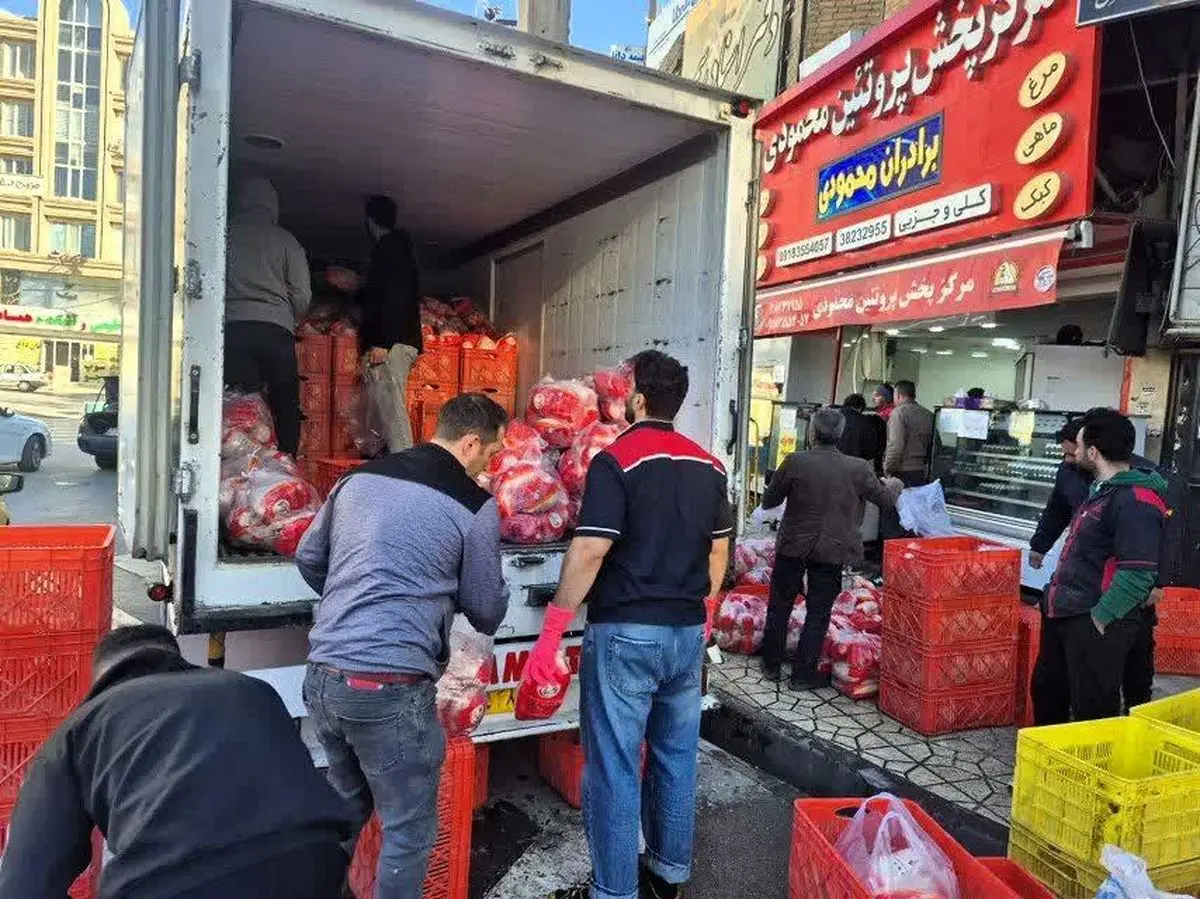 توزیع روزانه ۴۵۰ تن گوشت مرغ در آذربایجان شرقی