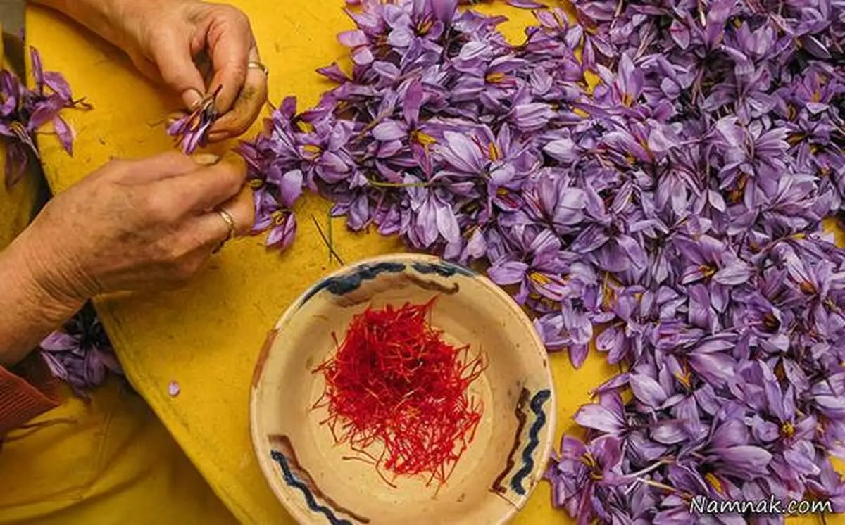 رشد قیمت زعفران کاذب و غیرمنطقی است 