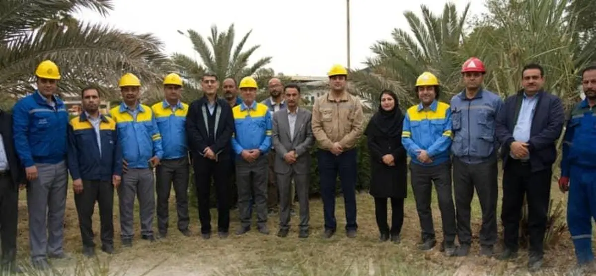 کاشت درخت نخل در پتروشیمی بوعلی سینا توسط کارکنان