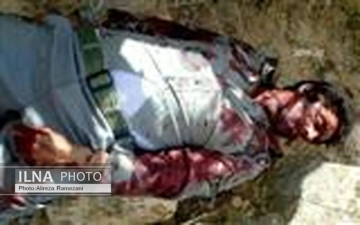 محیط‌بان پارک ملی بمو به شهادت رسید