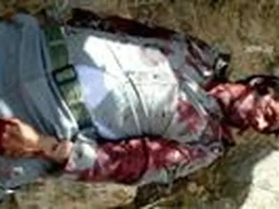 محیط‌بان پارک ملی بمو به شهادت رسید