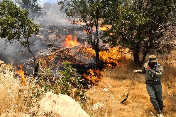 آتش سوزی پارک ملی گلستان تحت کنترل است