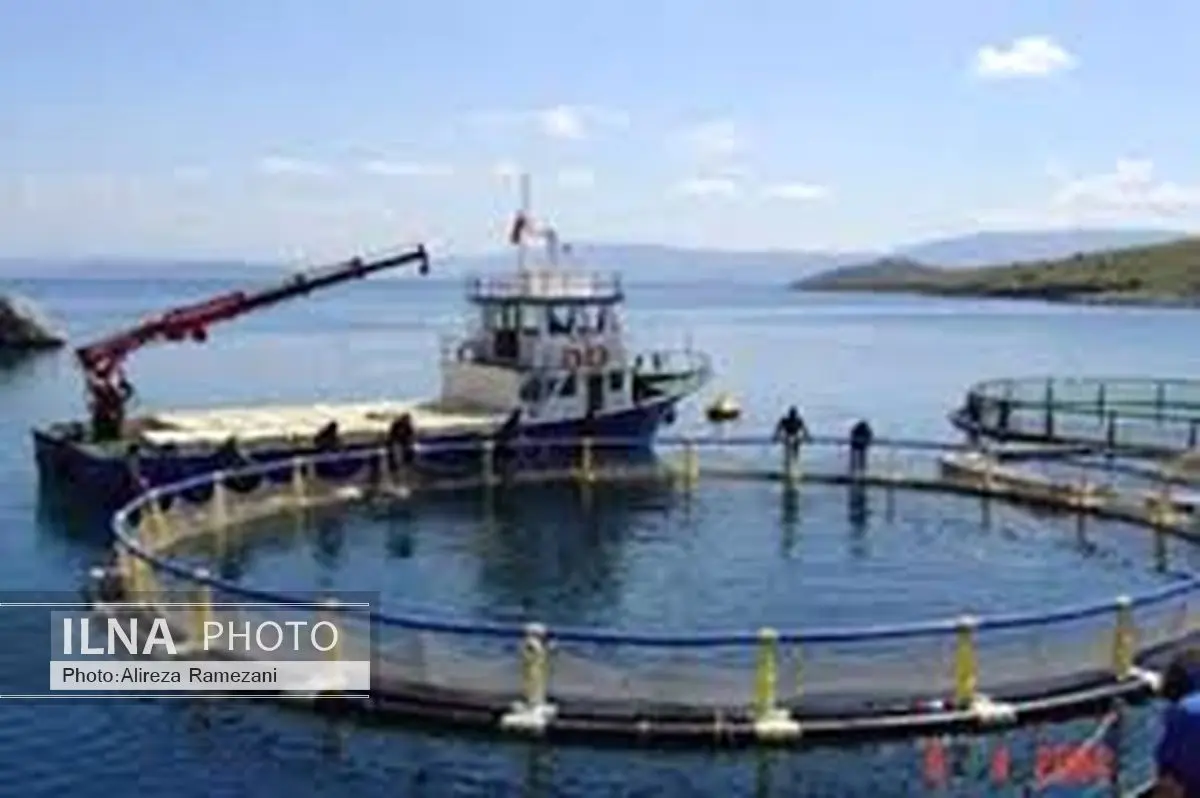 سالانه 67 هزار تن آبزی در گیلان تولید می‌شود