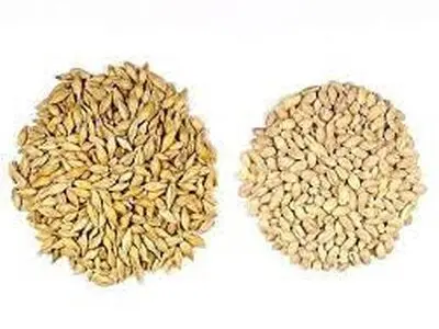 فرق جو با جو دوسر