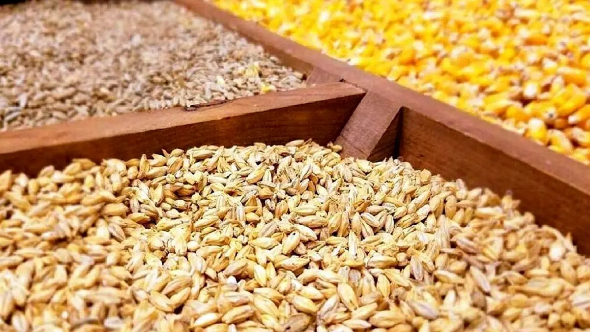 تغییر نرخ محاسبات حقوق ورودی نهاده‌های دامی و کالاهای اساسی ابلاغ شد