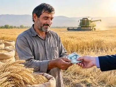 خرید ۳۷۰ هزار تن گندم مازاد بر مصرف کشاورزان آذربایجان شرقی/ پرداخت ۹۵ درصد مطالبات