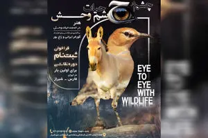 رویداد تجسمی «چشم در چشم حیات‌وحش» برگزار می‌شود