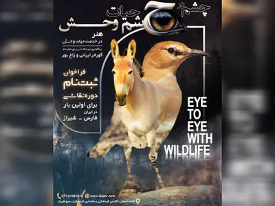 رویداد تجسمی «چشم در چشم حیات‌وحش» برگزار می‌شود