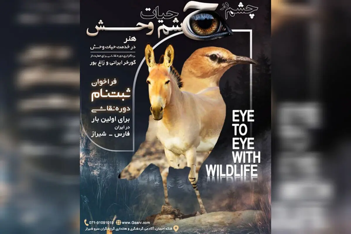 رویداد تجسمی «چشم در چشم حیات‌وحش» برگزار می‌شود