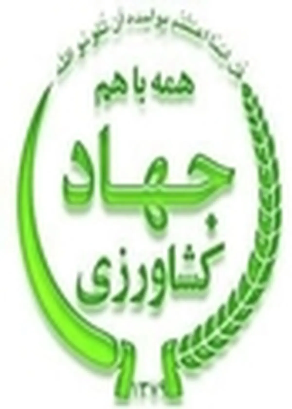 استان زنجان از پتانسیل بالایی در عرصه کشاورزی برخوردار است
