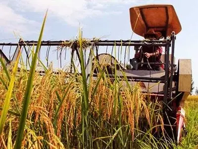 پرداخت یش از یک میلیارد تومان تسهیلات برای توسعه کشاورزی ماشینی به کشاورزان فومنی