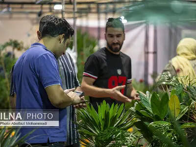 بهترین مکان‌ها برای نگهداری گل و گیاه در خانه