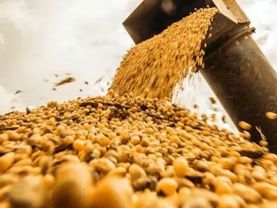 اعلام زمان ثبت سفارش واردات شکر و دانه های روغنی 

