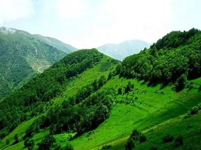برگزاری جلسه ویژه مدیریت بحران در استان / مهار کامل آتش سوزی تا عصر امروز 