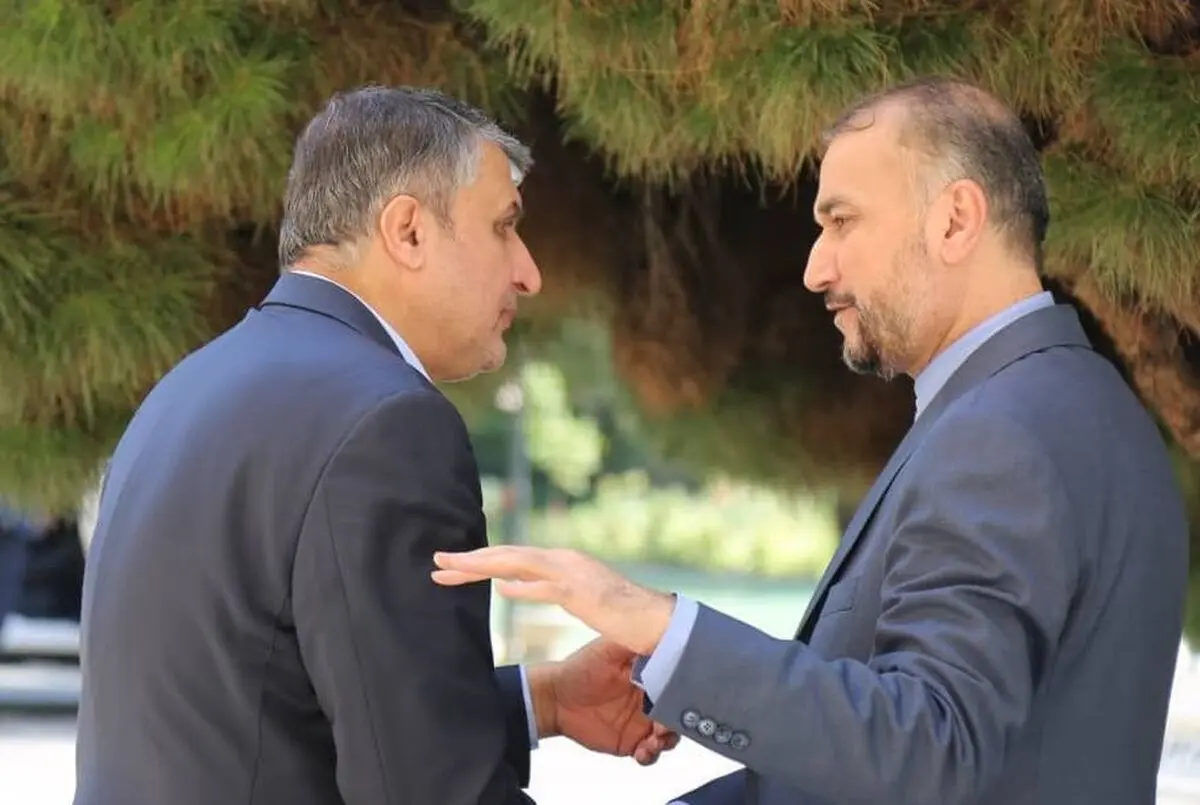 وزیر امور خارجه و رئیس سازمان انرژی اتمی به کمیسیون امنیت ملی می‌روند