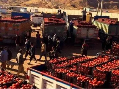 علت برگرداندن گوجه‌های ایران از عراق اعلام شد