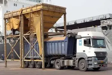 آغاز بارگیری ذرت خریداری‌شده از بخش خصوصی برای تأمین نهاده مرغداران سراسر کشور