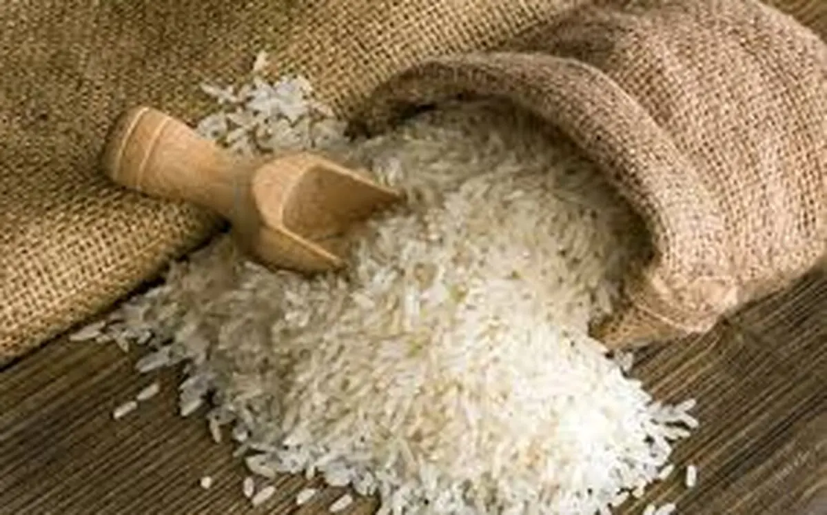 جهاد کشاورزی متولی امنیت غذایی است/تلاش ما این است که شرمنده مردم نشویم