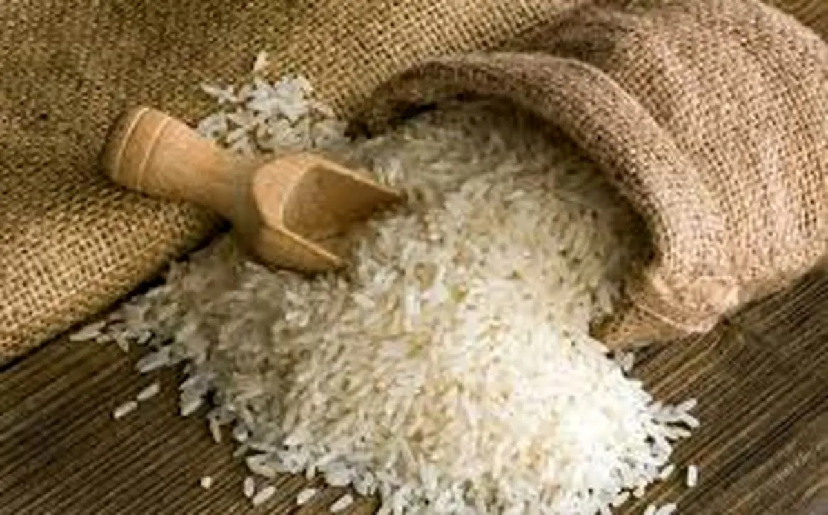 جهاد کشاورزی متولی امنیت غذایی است/تلاش ما این است که شرمنده مردم نشویم