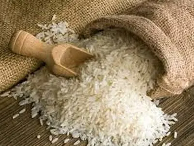 جهاد کشاورزی متولی امنیت غذایی است/تلاش ما این است که شرمنده مردم نشویم