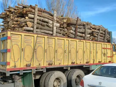 کشف 3 تن چوب قاچاق در روستای یله‌گنبد