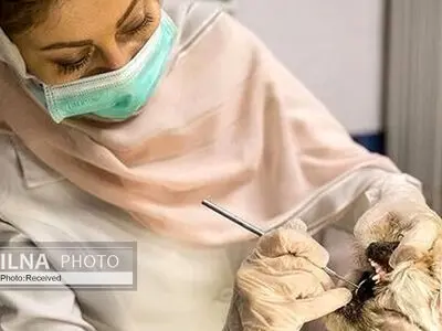 تداوم اعتراض‌ها به پلمپ مراکز دامپزشکی و عدم مراجعه و پیگیری برای حل مسئله